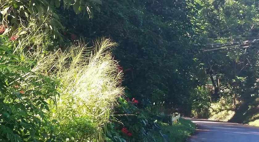 Reach Beyond Rainforest Retreat Διαμέρισμα Χονολουλού