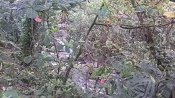 Δωμάτια σε οικογενειακή κατοικία Reach Beyond Rainforest Retreat Διαμέρισμα Χονολουλού