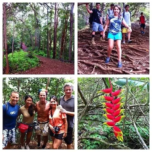 Δωμάτια σε οικογενειακή κατοικία Reach Beyond Rainforest Retreat Διαμέρισμα Χονολουλού